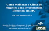 Como Melhorar o Clima de Negócios para Investimentos Florestais em MG