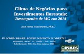 Clima de Negócios para Investimentos florestais: Desempenho de MG em 2014