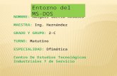 Entorno del MS-DOS