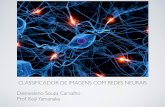 Classificador de imagens com redes neurais