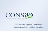 Eduardo Diogo Presidente do CONSAD - O CONSAD: Agenda Comum de  Gestão Pública – União e Estados - 2013