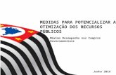 Medidas para potencializar a otimização dos recursos públicos - Maria de Fátima Alves Ferreira