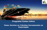 ComexInfoco - Domine os Trâmites Documentais na Exportação