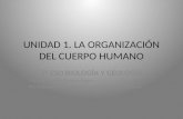 Tema 1 la organización del ser humano