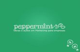 Apresentação de serviços - Peppermint 360 (2016)