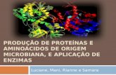 Proteínas, Enzimas e Aminoácidos de Origem Microbiana