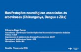 CT Epidemiologia - 21.03.16 - Manifestações neurológicas associadas às arboviroses (Chikungunya, Dengue e Zika)