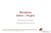 Wordpress :: Plugins - visão geral