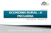 Modulo 02 - Economia rural - a pecuária