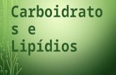 Carboidratos e lipídios