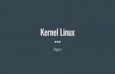 Linux Kernel Input: mouse, teclado, joystick
