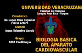 Biologia Basica del Aparato Cardiovascular