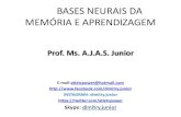 Bases neurais da memória e aprendizagem
