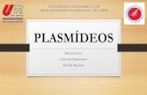 Plasmídeos- Genética Bacteriana