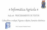 Informática Agrícola Aula 08 - Processamento de textos (cabeçalhos e rodapé, figuras e objetos, sumário eletrônico)
