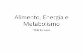 Aula 02   metabolismo - Fisio comp UFFS 2017