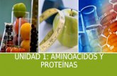 1. aminoácidos y proteínas 2015
