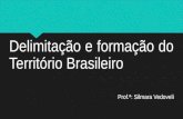 Delimitação e formação do território brasileiro