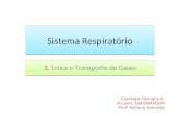 Fisiologia - Sistema Respiratório 3