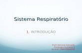 Fisiologia - Sistema Respiratorio