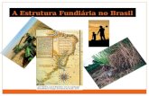 Estrutura fundiaria no Brasil