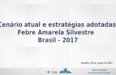 Cenário atual e estratégias adotadas  Febre Amarela Silvestre   Brasil - 2017