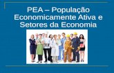 População Economicamente Ativa PEA e Setores economia