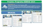 Projeto Programa SEBRAE 2014
