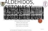 Aldehídos, cetonas y ácidos carboxílicos