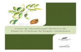 Curso identificação botânica das espécies arbóreas da região amazônica