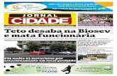 Jornal Cidade - Lagoa da Prata - Nº 63 - 30/10/2015