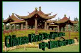 Parque chinês