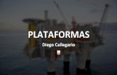 Plataformas Digitais - Diego Callegario [Perestroika - NED]