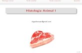 [Pré-vestibular] Histologia Animal - Parte I