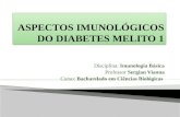 Slide Imuno diabetes Tipo 1
