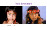 O índio brasileiro   gabrielle
