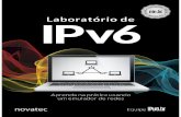 Livro lab-ipv6-nicbr