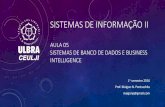 Sistemas de Informação - Aula05 - cap5 bd e business intelligence