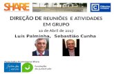 Direção deReuniões e Atividades em Grupo FCUL Abril 2017