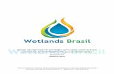 Boletim n°3-wetlands-brasil