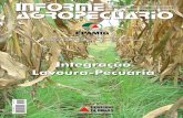 Informe agropecuario lavoura + pastagem