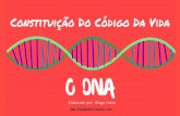 Constituição Do Código Da Vida - O DNA