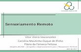 Sensoriamento Remoto - Introdu§£o Te³rica