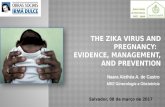 Infecção por Zika Virus na Gestação