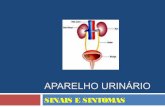 Sinais e sinomas do ap.urinário