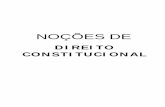 NOÇÕES DE DIREITO CONSTITUCIONAL-ANTONIO INACIO FERRAZ, TE´CNICO EM ELETRONICA E AGROPECUÁRIA NO COLÉGIO CRUZEIRO DO SUL E PAULA SOUZA.