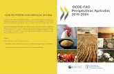 Perspectivas Agrícolas no Brasil:desafios da agricultura brasileira 2015-2024
