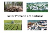 Setor primário em portugal