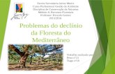 Problemas do declínio da floresta do mediterrâneo