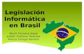 legislación informática en brasil